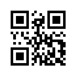 了大二维码生成