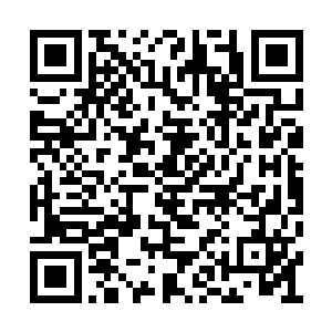 但是连凌云界主他们都无法准确的找出他的位置二维码生成