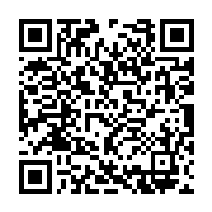 毕竟修武界的修为划分与修真界的划分还不太一样二维码生成