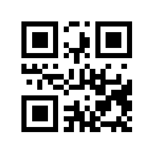 甩了二维码生成