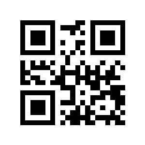 载人二维码生成