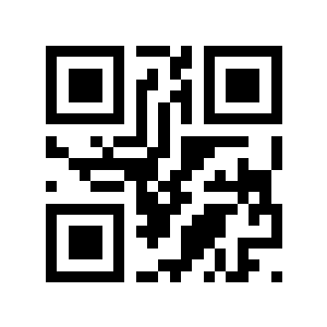 队了二维码生成