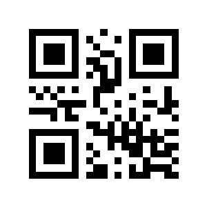 PG级二维码生成