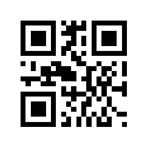 tekkamanmaid二维码生成